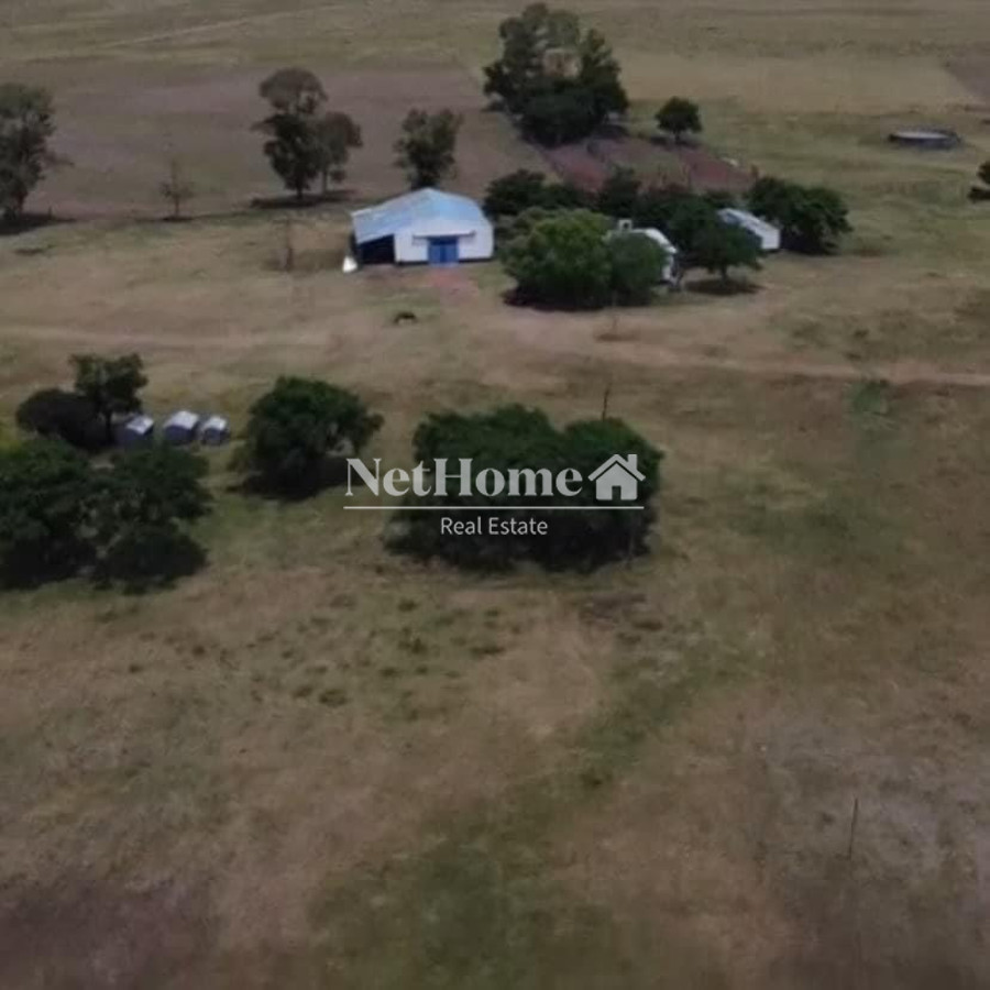 Campo Ref.626 - Campo Venta 1081 ha Paso de los Toros