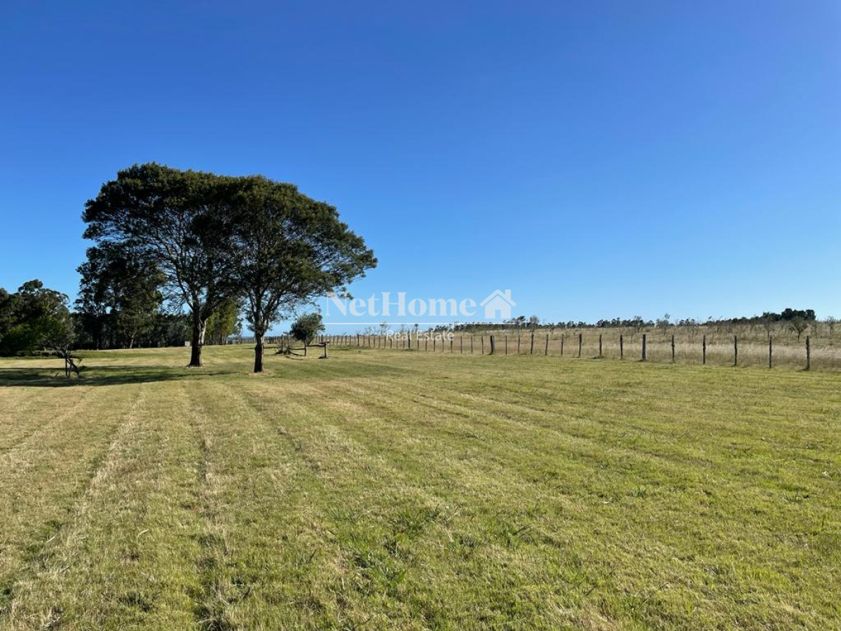 Campo Ref.310 - Fraccionamiento ya aprobado - 90Ha Jose Ignacio