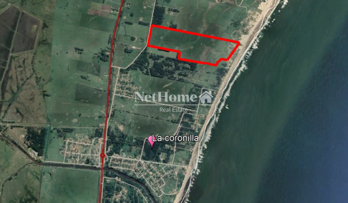 Campo Ref.315 - Campo en Rocha - La Coronilla 67Ha