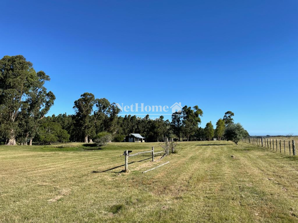 Campo Ref.310 - Fraccionamiento ya aprobado - 90Ha Jose Ignacio