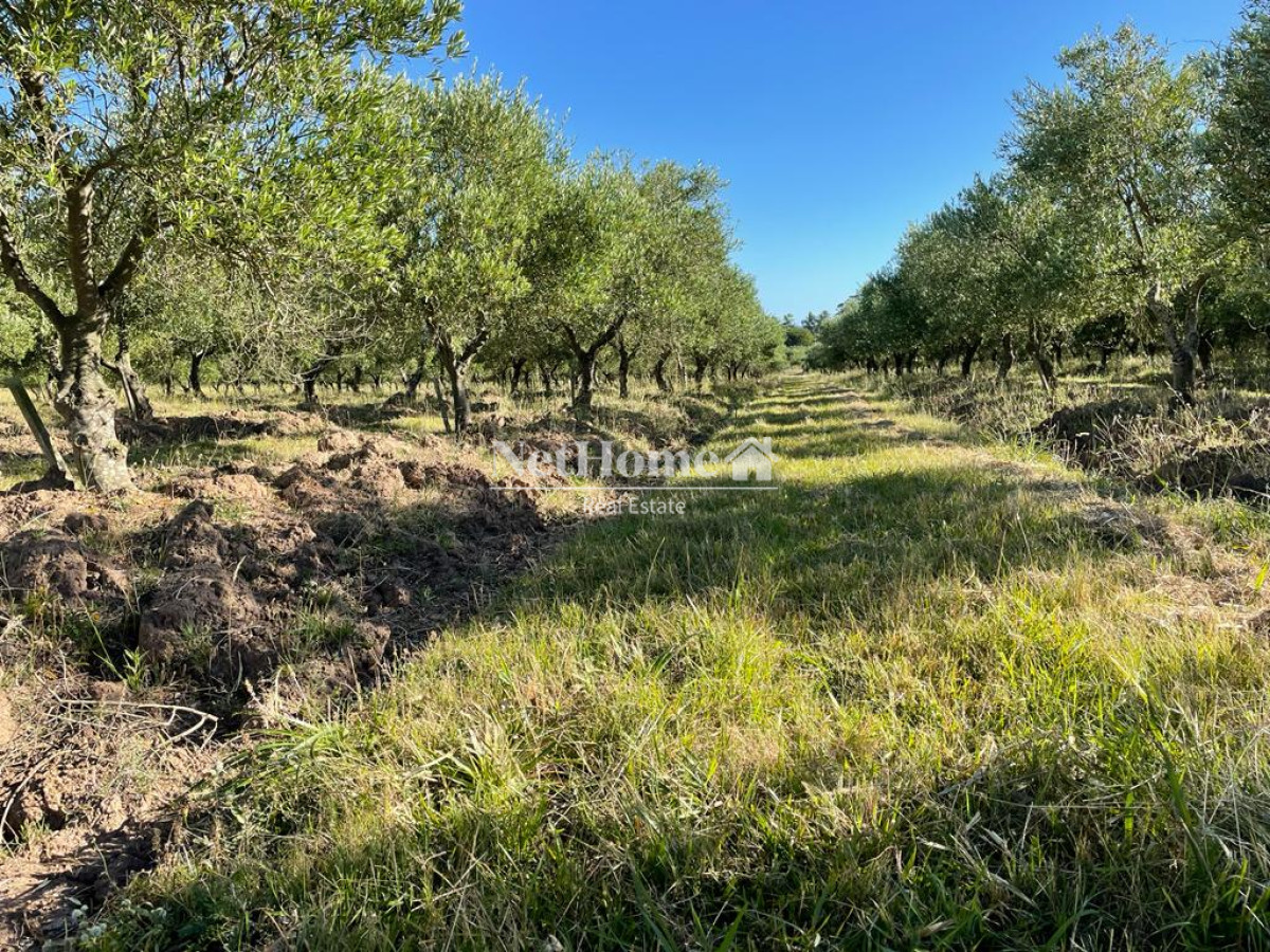 Campo Ref.310 - Fraccionamiento ya aprobado - 90Ha Jose Ignacio