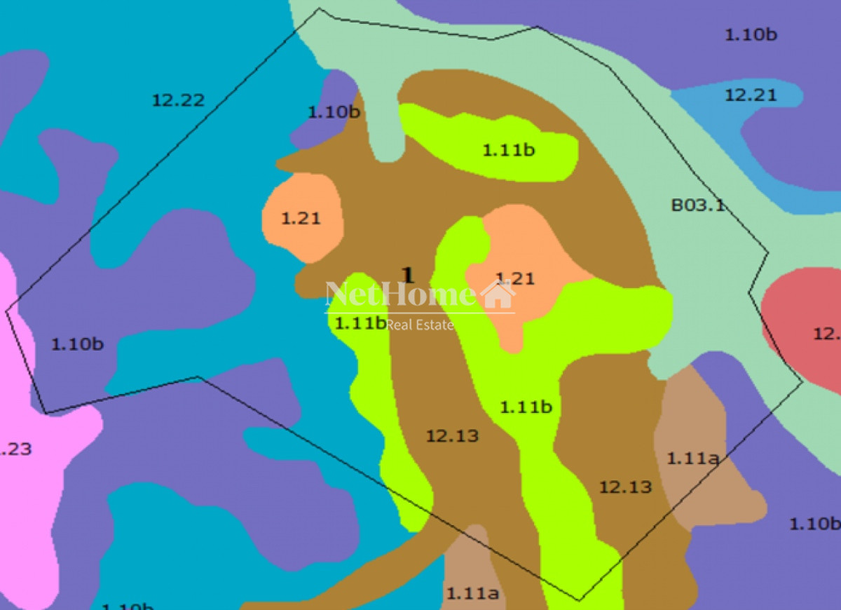 Campo Ref.309 - Campo Ganadero 550Ha Paysandú