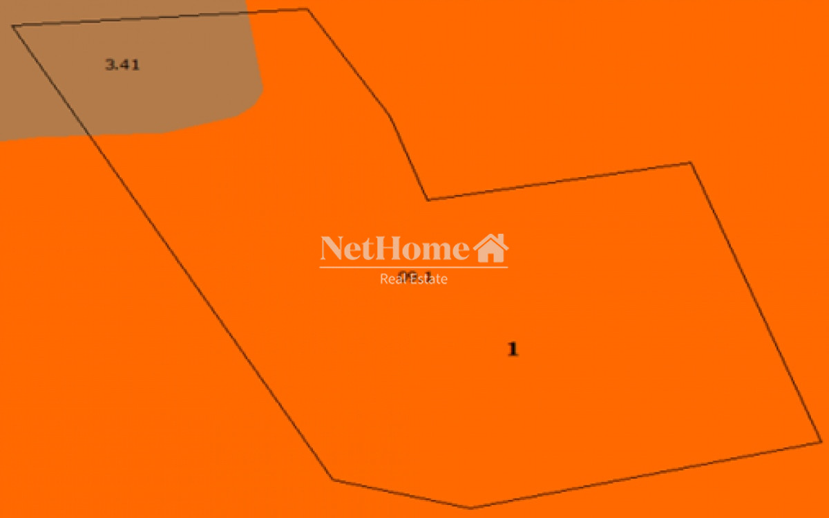 Campo Ref.305 - Campo 55Has Forestal-Turistico Pueblo Nuevo