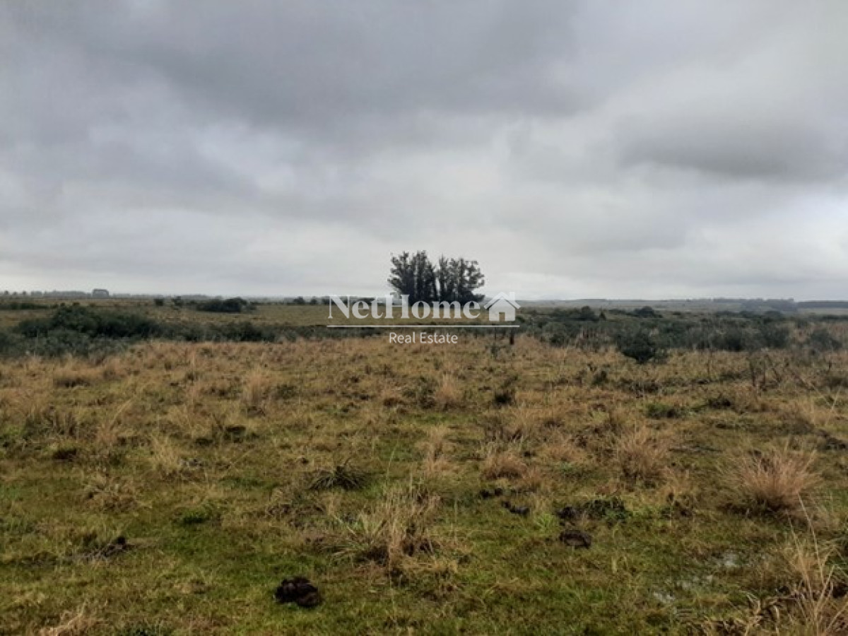 Campo Ref.308 - Campo Turistico 75Ha Garzon Rocha.