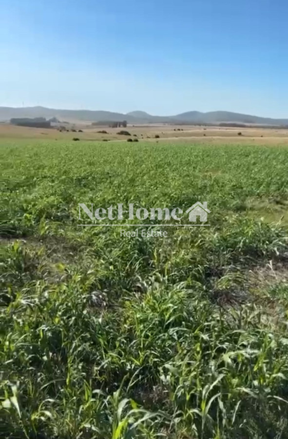 Campo Ref.304 - Campo 500Ha Ganadero-Agricola Minas