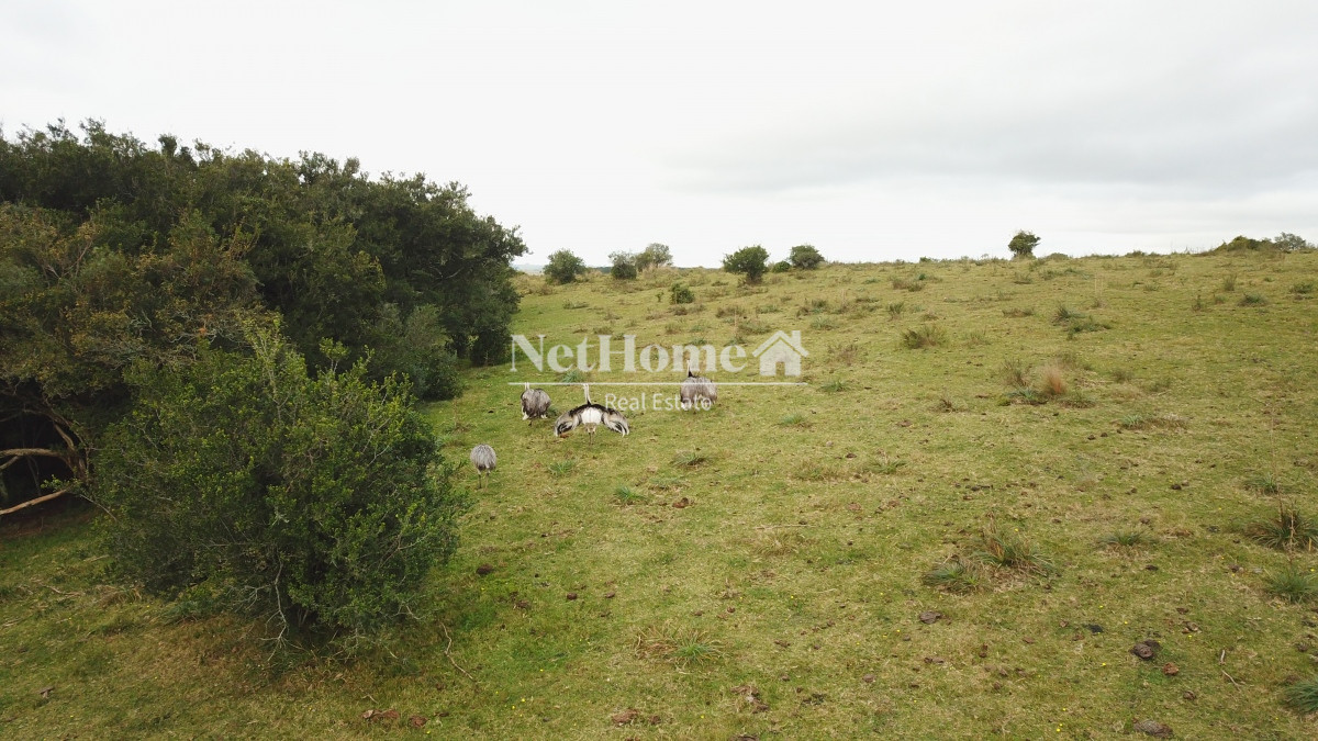 Campo Ref.298 - Exclusiva Chacra en Mirador Garzón de 5Ha N° II