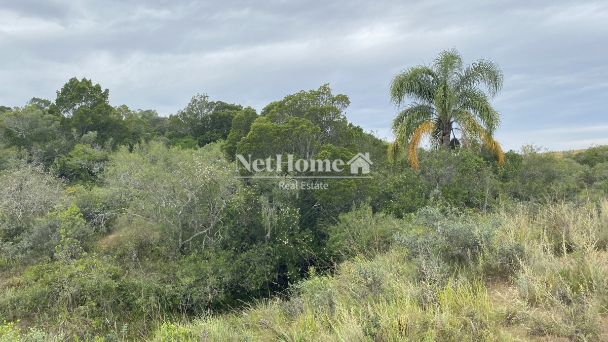 Campo Ref.296 - Mirador Garzón Exclusivas Chacras de 5Ha