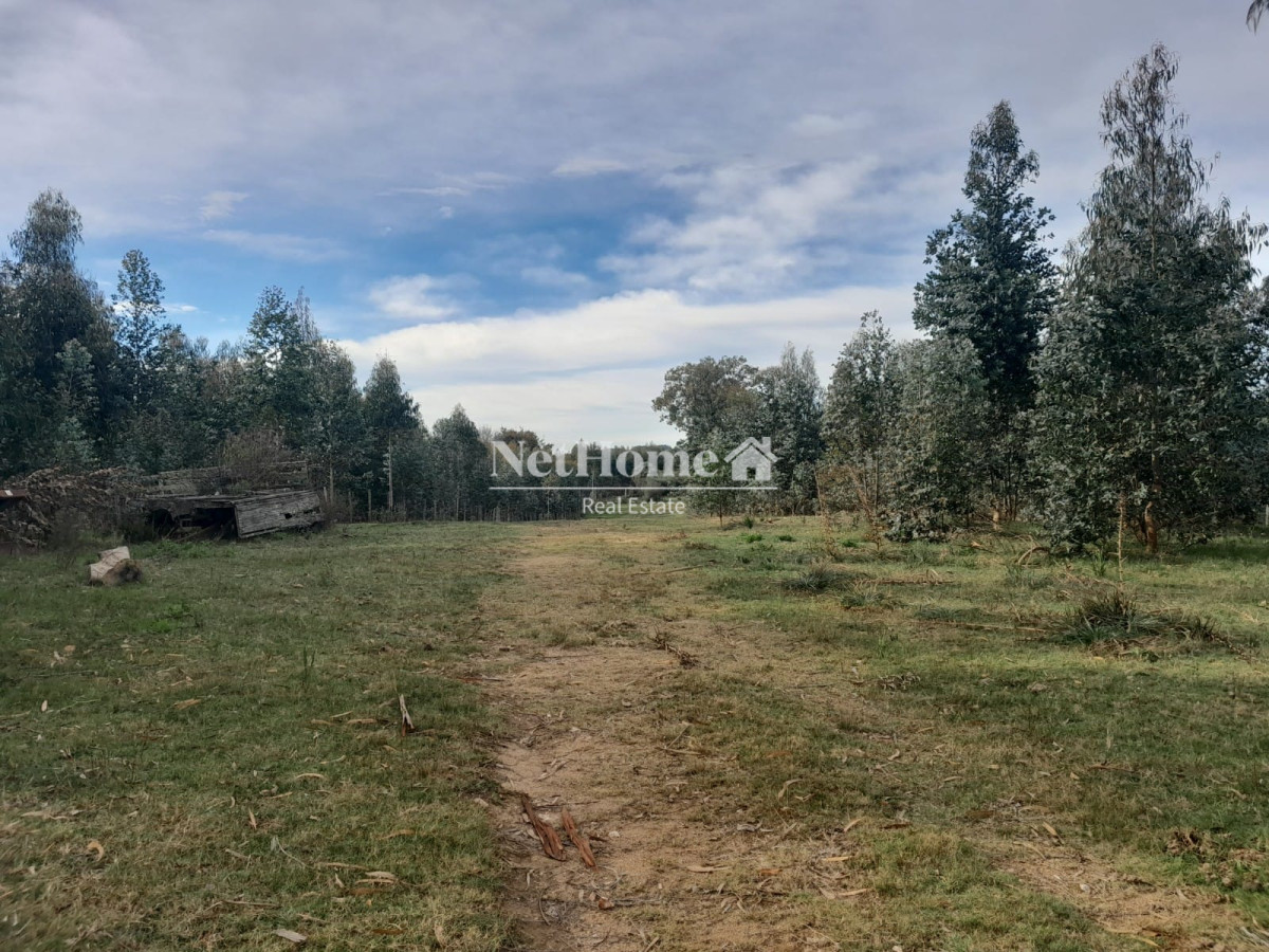 Campo Ref.293 - 502 Ha Establecimiento en Maldonado