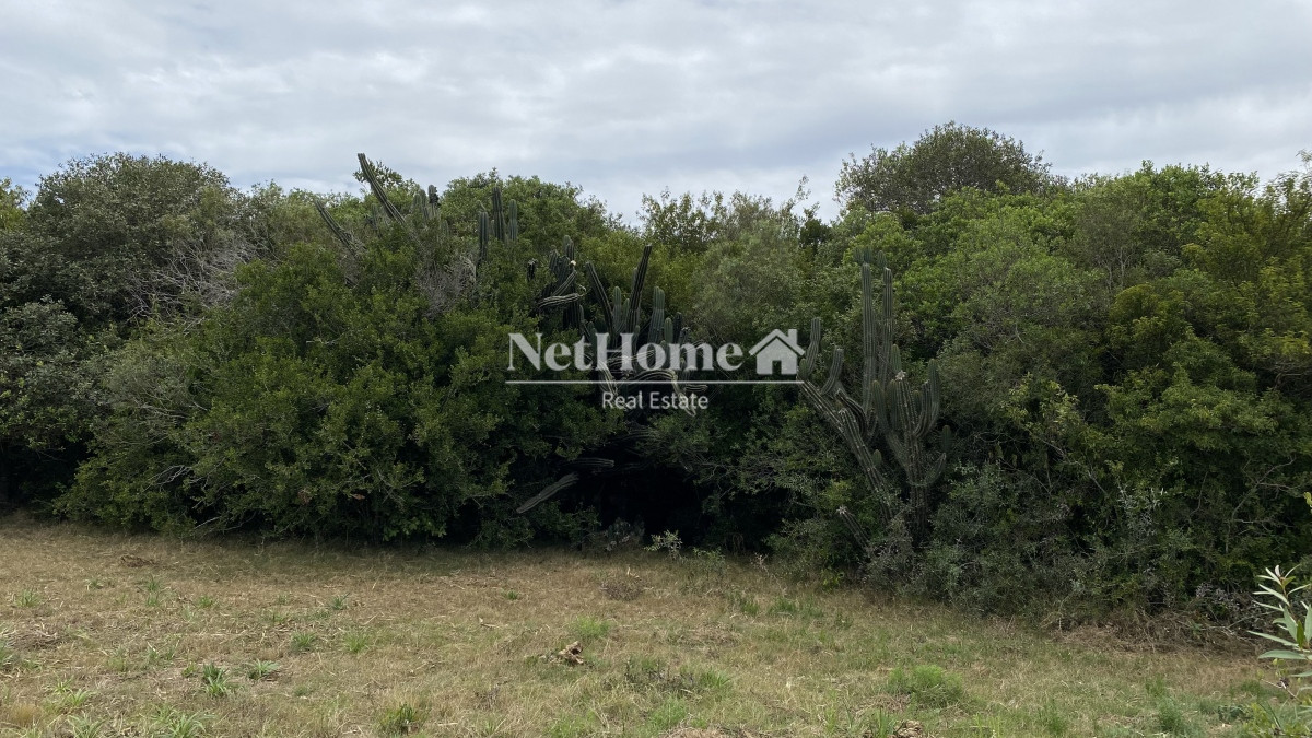 Campo Ref.298 - Exclusiva Chacra en Mirador Garzón de 5Ha N° II