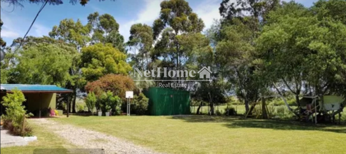Campo Ref.316 - Chacra 7.5 Ha Ruta 39 Paso Dutra.