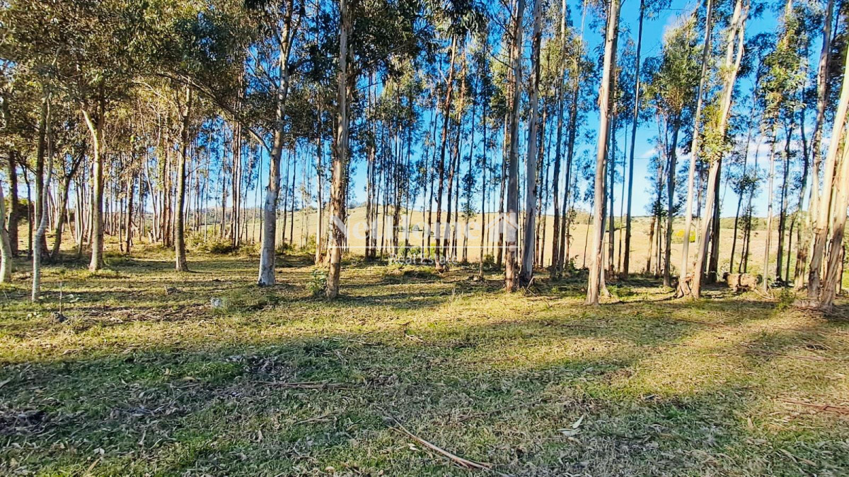Campo Ref.959 - CAMPO DE 26 HECTAREAS EXCELENTE UBICACION