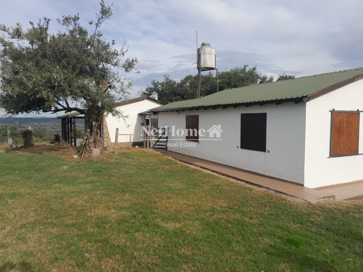 Campo Ref.292 - 500 Ha Establecimiento en Maldonado
