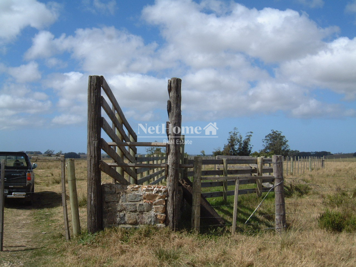 Campo Ref.313 - Campo Turístico 64Ha José Ignacio 