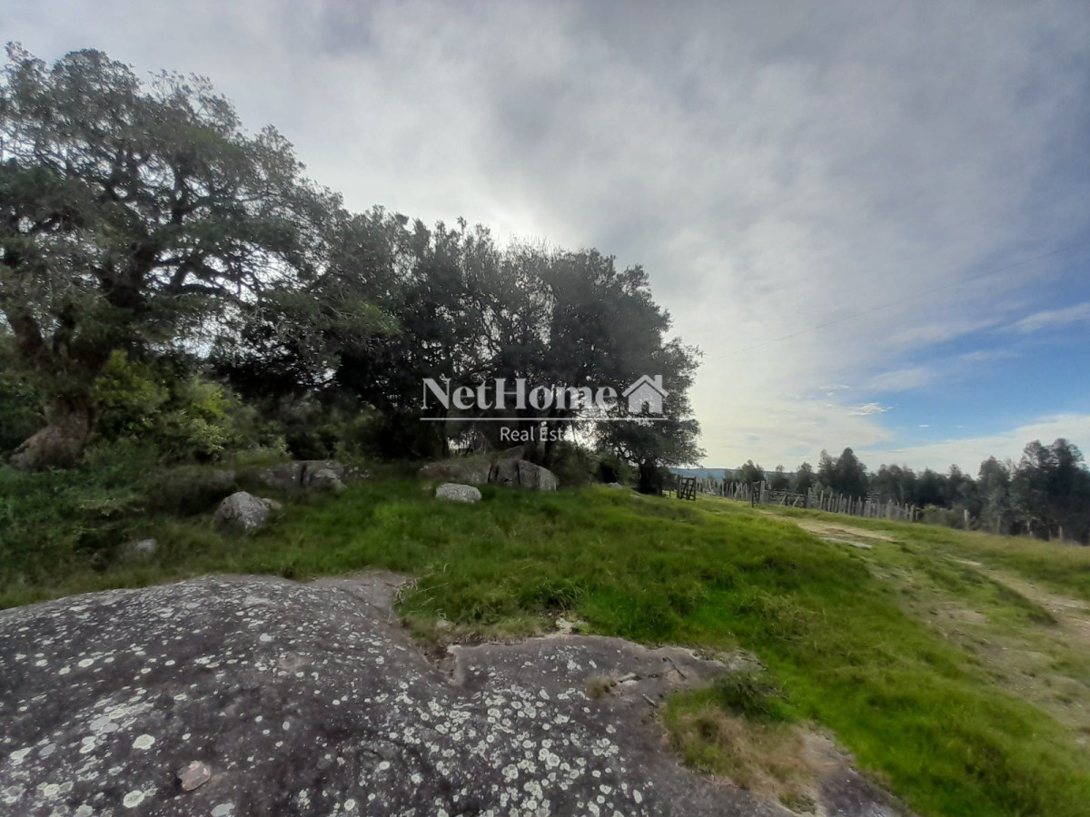 Campo Ref.293 - 502 Ha Establecimiento en Maldonado