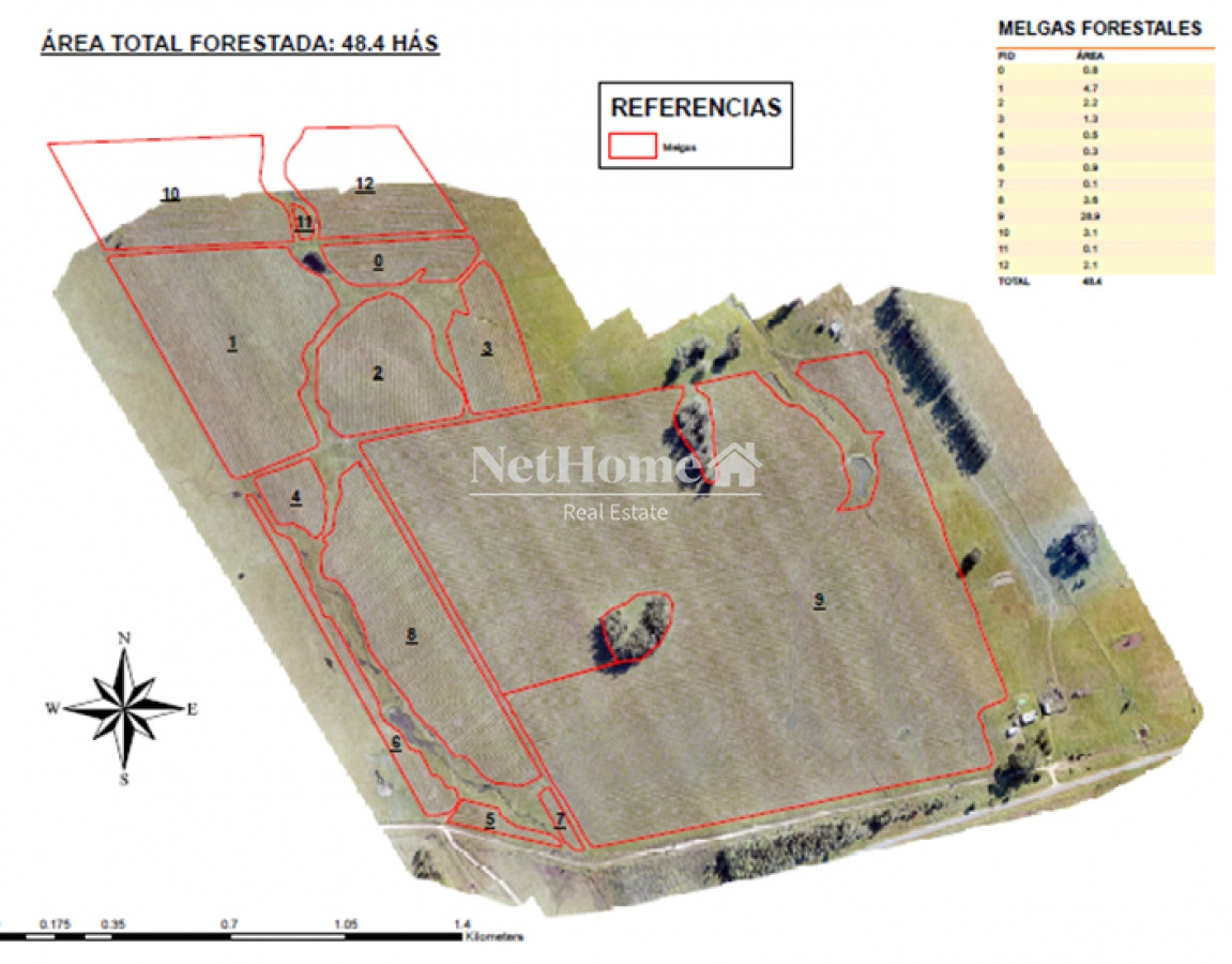 Campo Ref.305 - Campo 55Has Forestal-Turistico Pueblo Nuevo