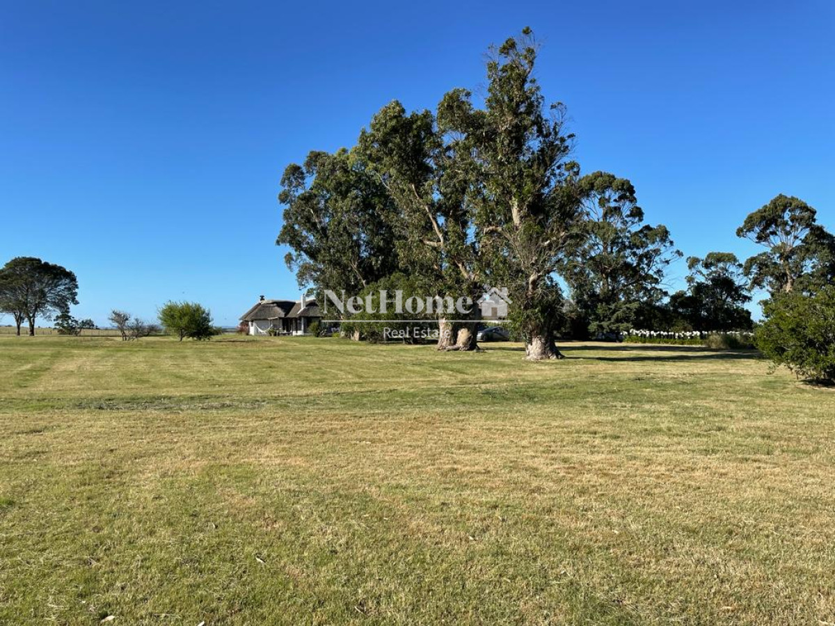 Campo Ref.310 - Fraccionamiento ya aprobado - 90Ha Jose Ignacio