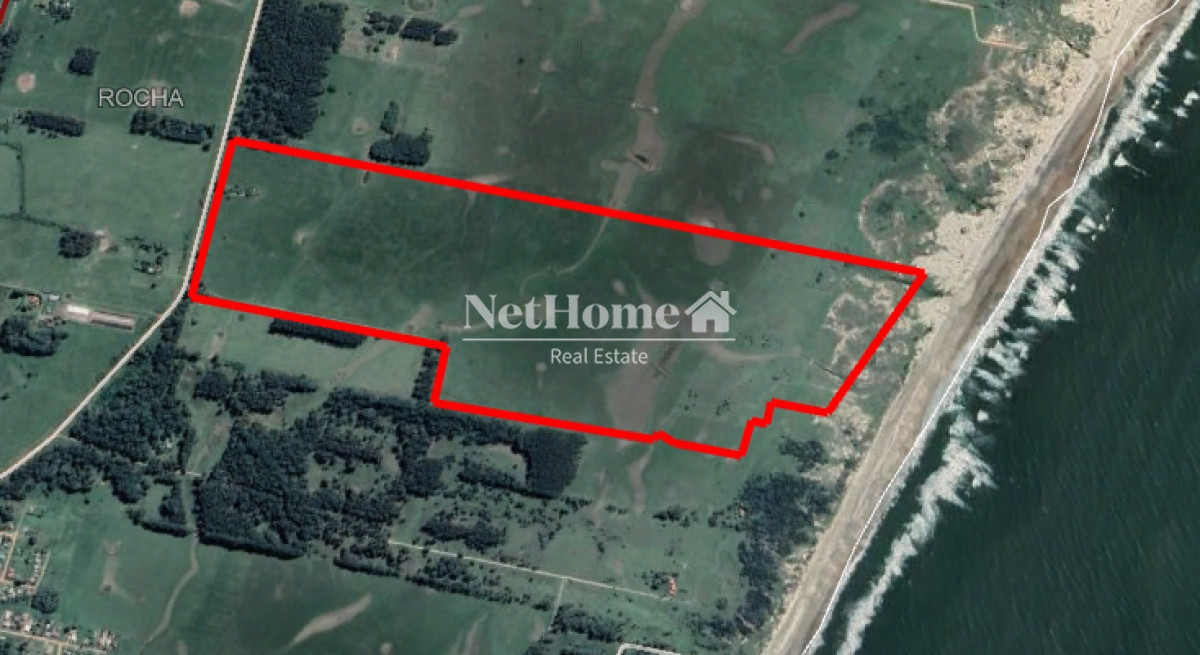 Campo Ref.315 - Campo en Rocha - La Coronilla 67Ha