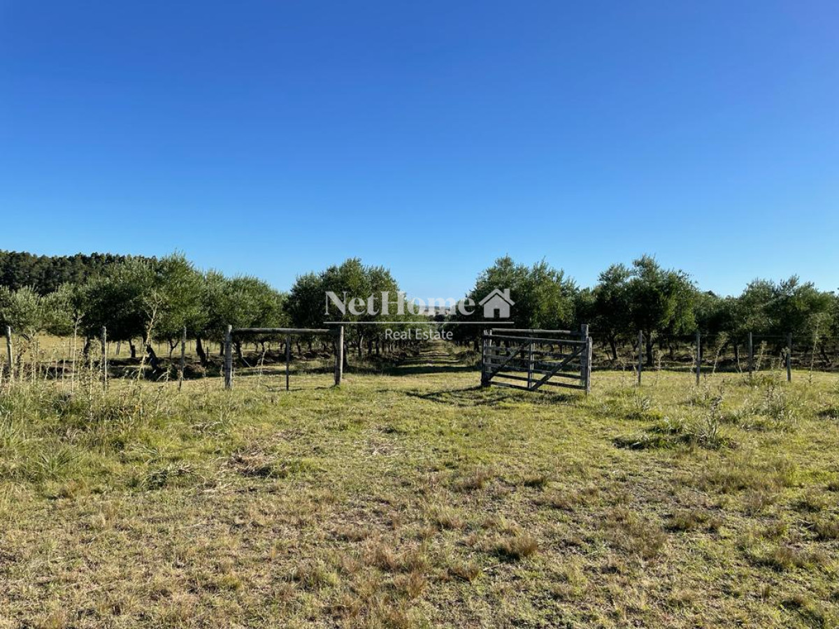 Campo Ref.310 - Fraccionamiento ya aprobado - 90Ha Jose Ignacio