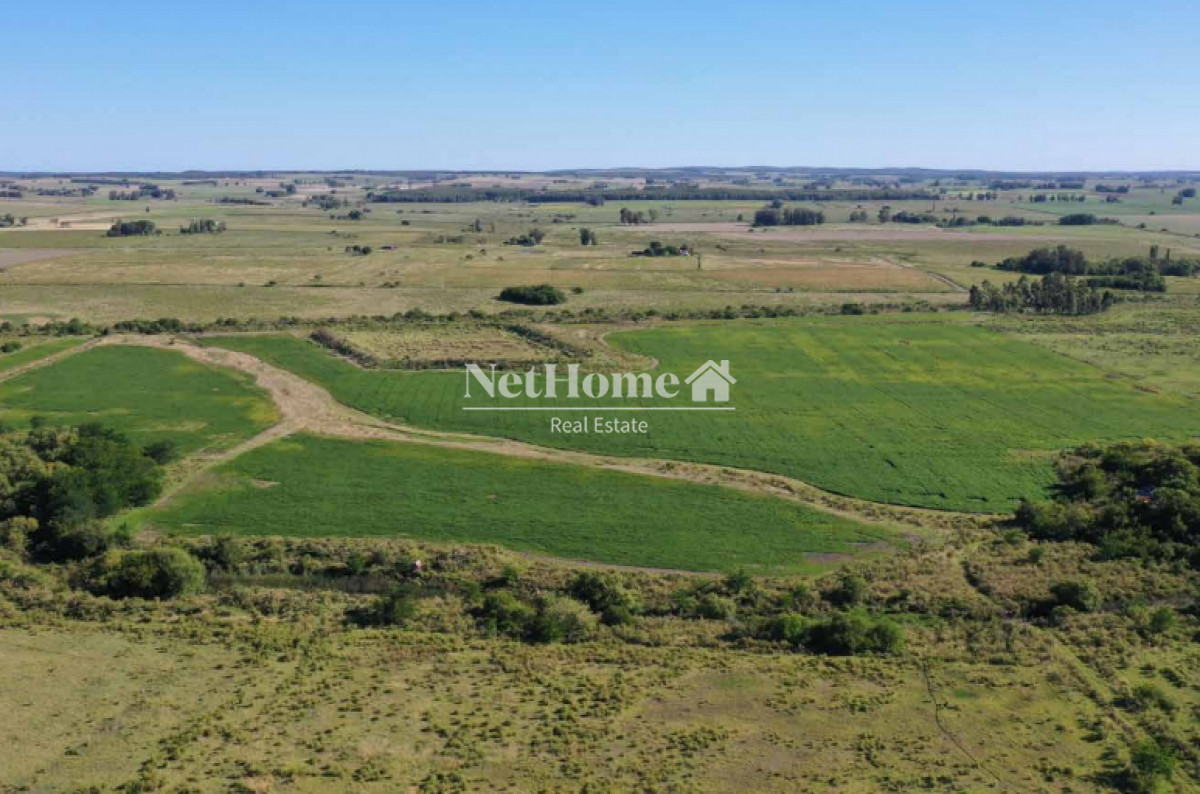 Campo Ref.295 - 148 Ha Establecimiento Migues
