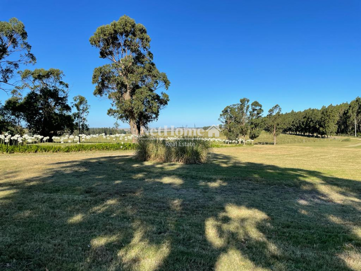 Campo Ref.310 - Fraccionamiento ya aprobado - 90Ha Jose Ignacio