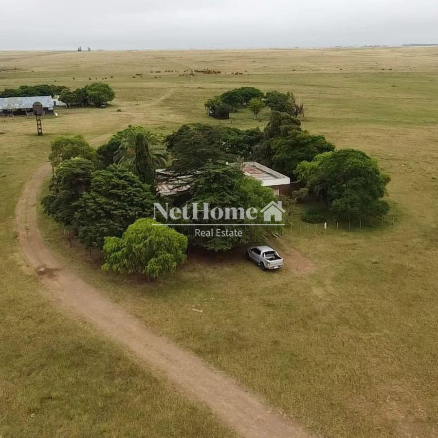 Campo Ref.626 - Campo Venta 1081 ha Paso de los Toros