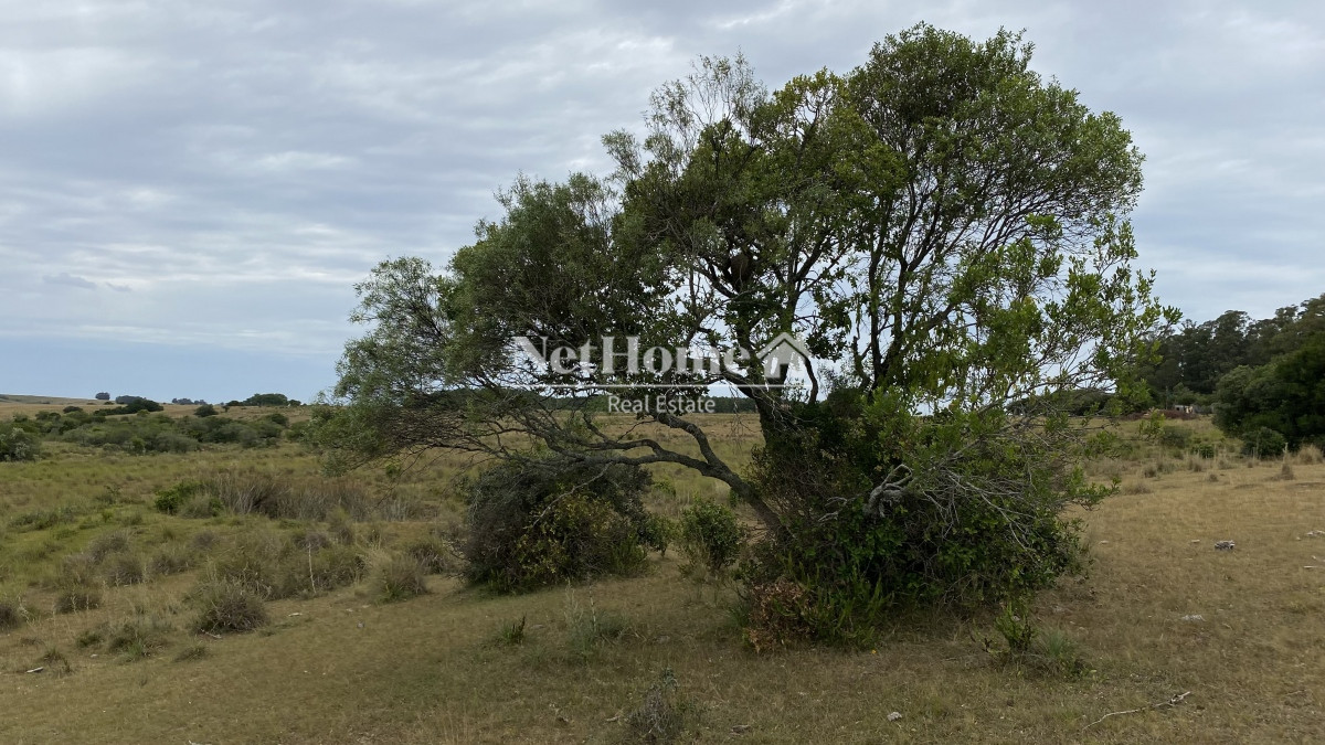 Campo Ref.298 - Exclusiva Chacra en Mirador Garzón de 5Ha N° II