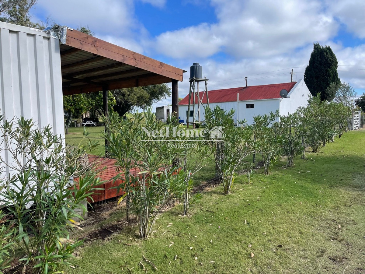 Campo Ref.304 - Campo 500Ha Ganadero-Agricola Minas