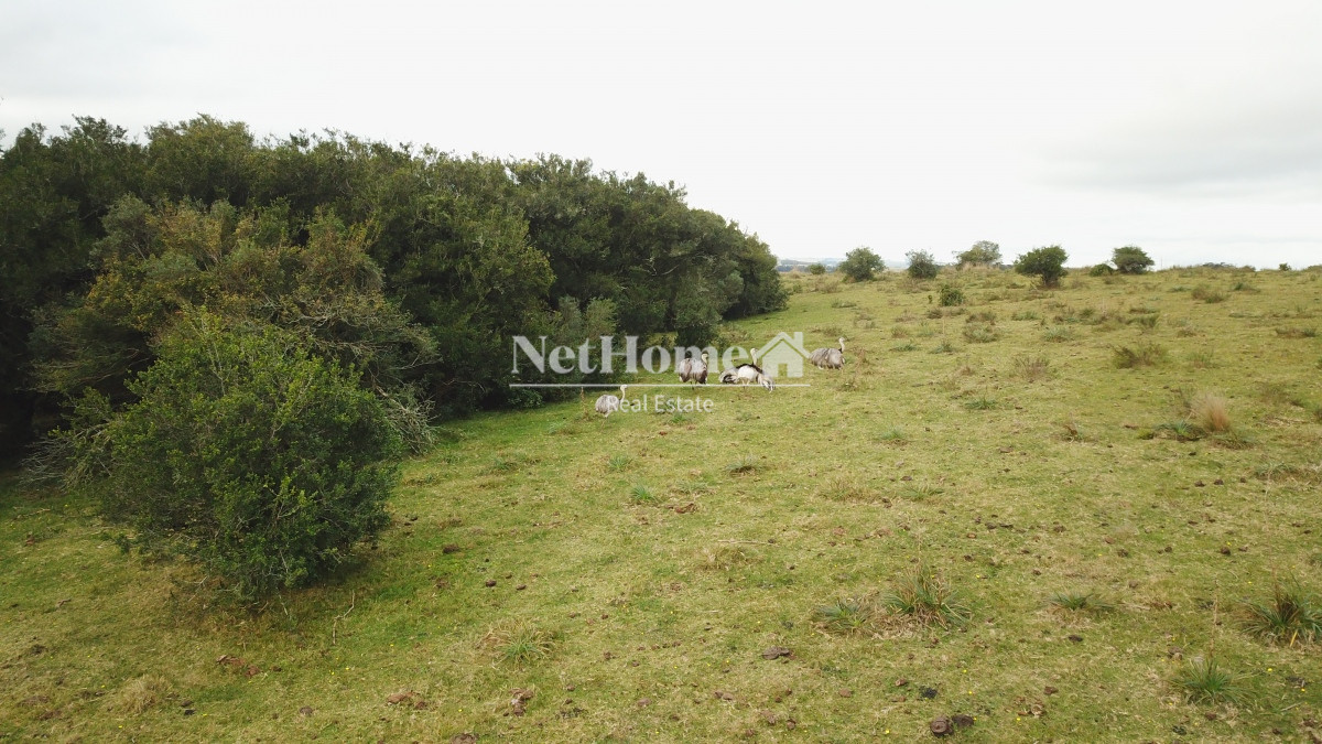 Campo Ref.296 - Mirador Garzón Exclusivas Chacras de 5Ha