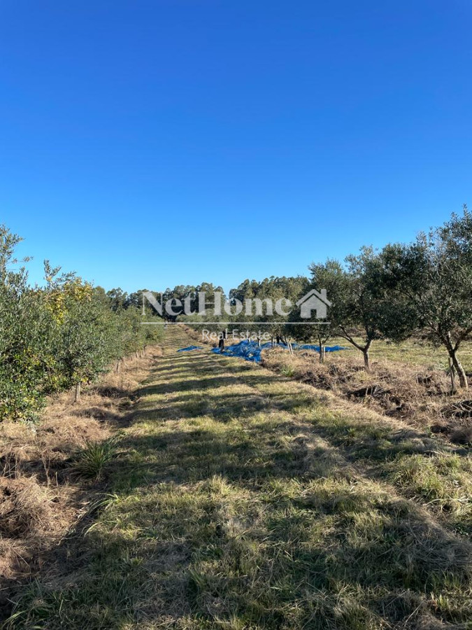 Campo Ref.310 - Fraccionamiento ya aprobado - 90Ha Jose Ignacio