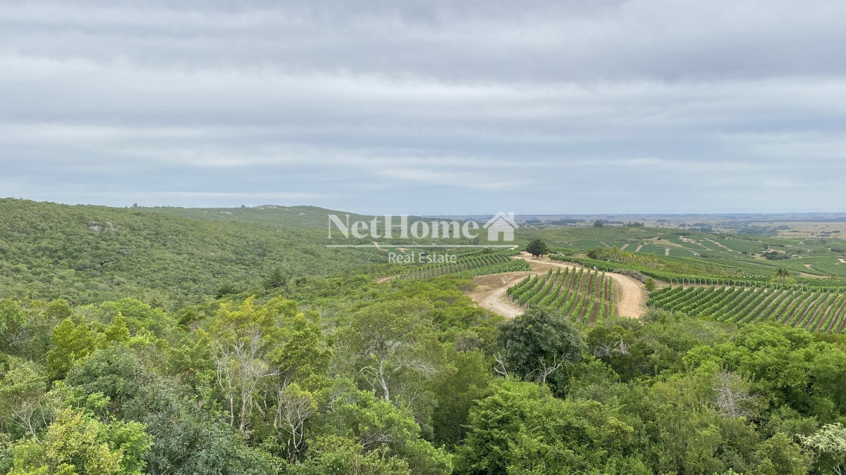 Campo Ref.298 - Exclusiva Chacra en Mirador Garzón de 5Ha N° II