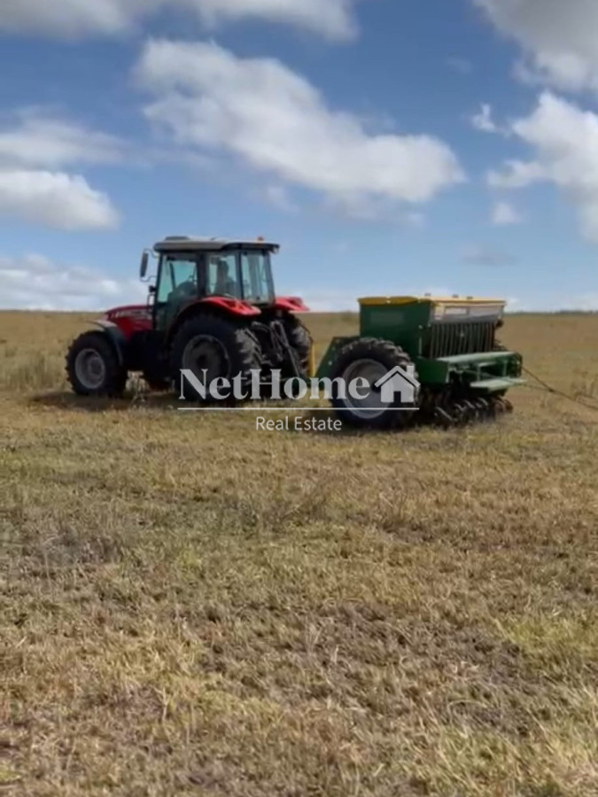 Campo Ref.304 - Campo 500Ha Ganadero-Agricola Minas