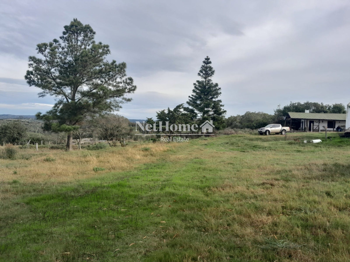 Campo Ref.293 - 502 Ha Establecimiento en Maldonado