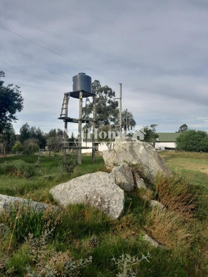 Campo Ref.292 - 500 Ha Establecimiento en Maldonado