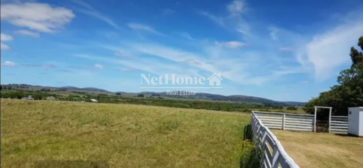 Campo Ref.316 - Chacra 7.5 Ha Ruta 39 Paso Dutra.