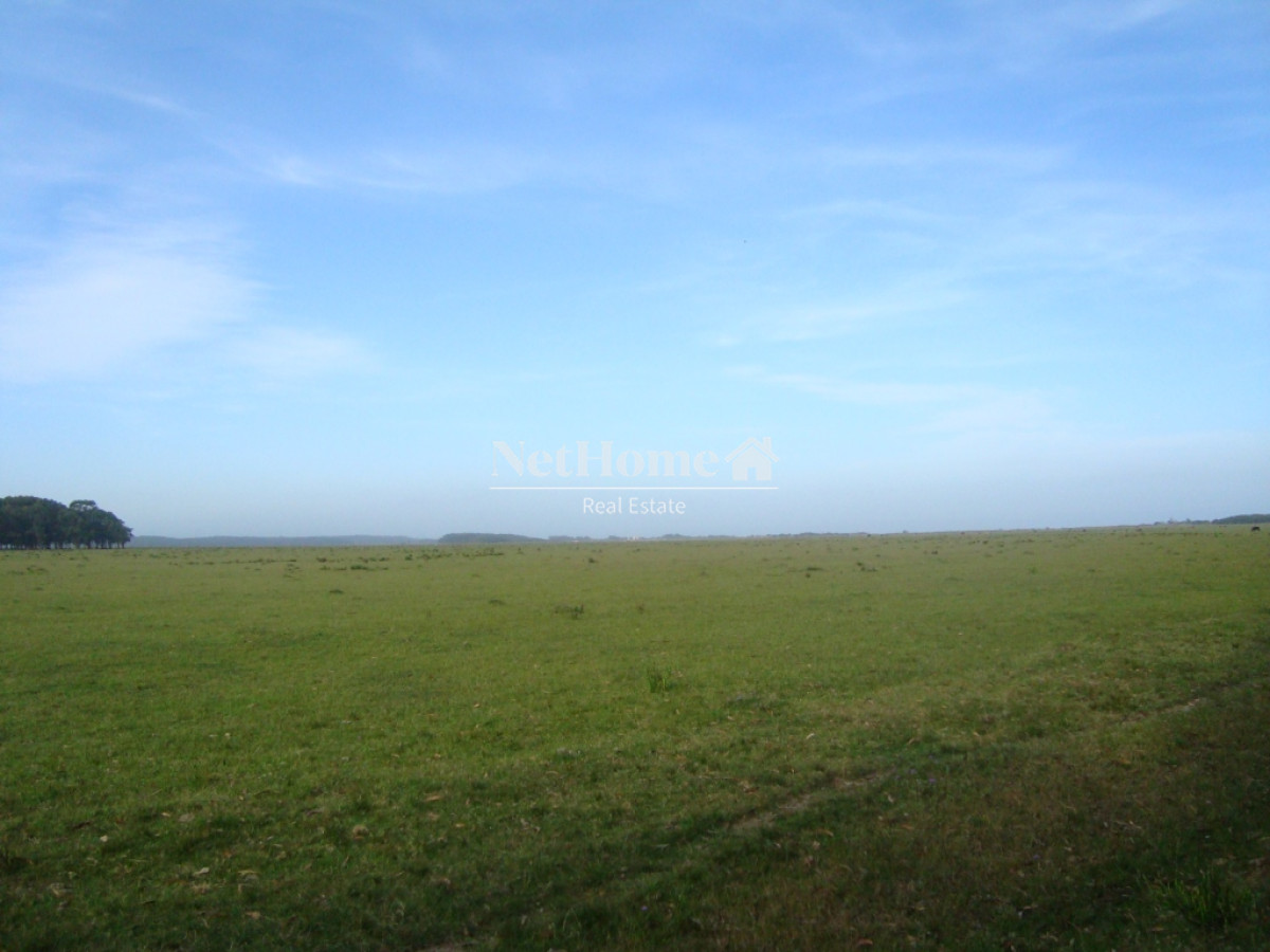 Campo Ref.315 - Campo en Rocha - La Coronilla 67Ha