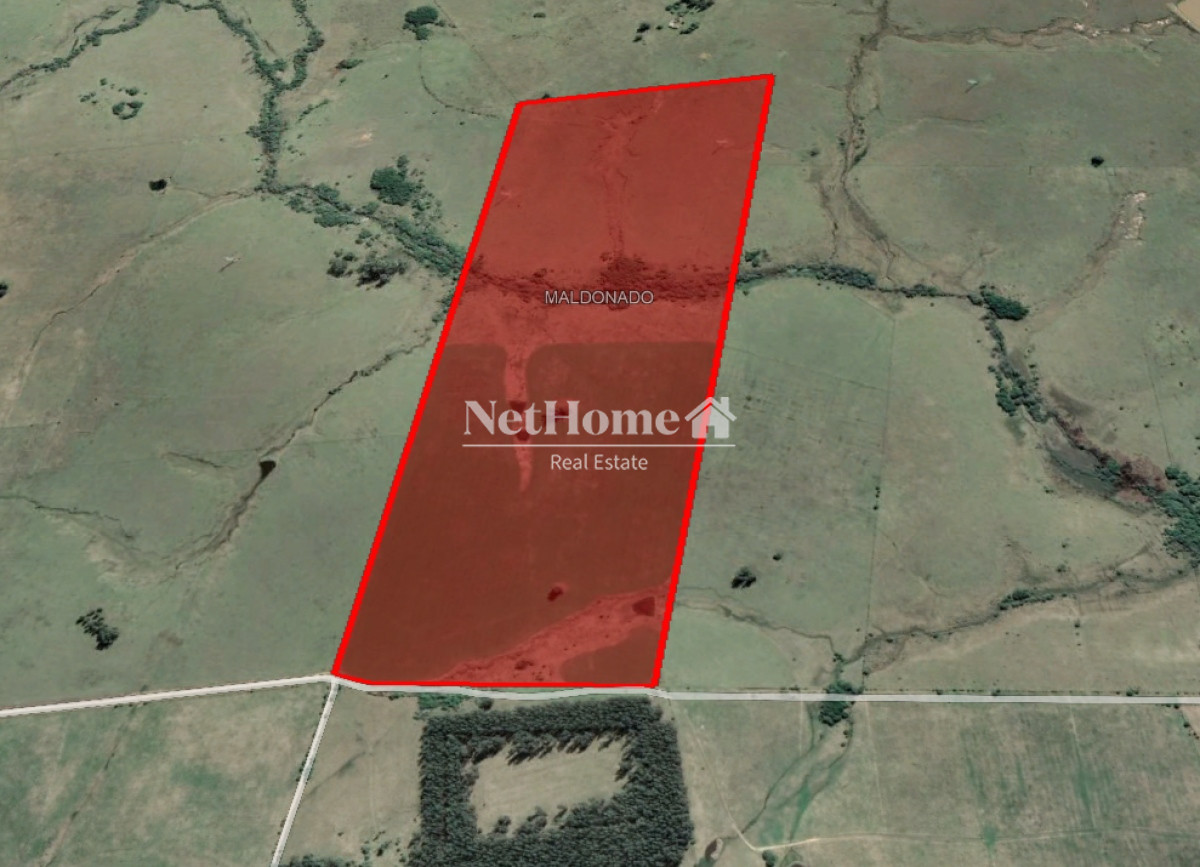 Campo Ref.312 - Campo 50Ha José Ignacio Turístico para fraccionamiento