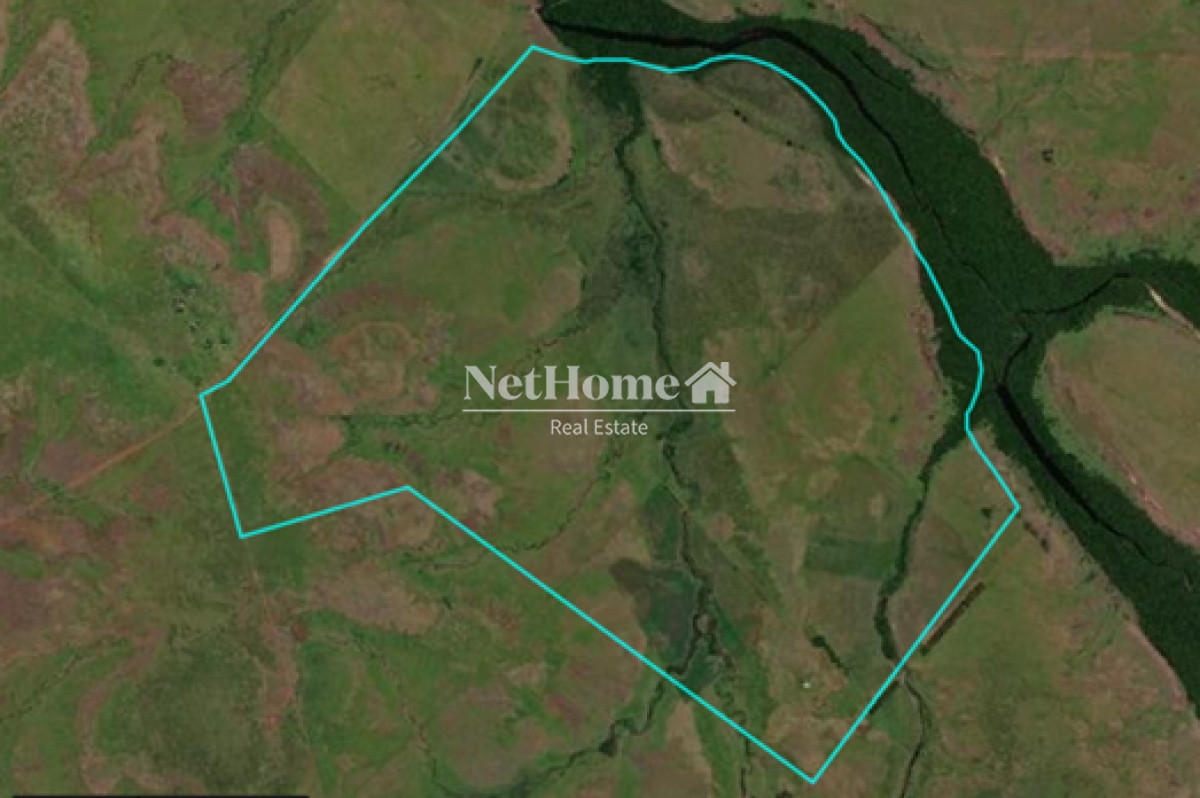 Campo Ref.309 - Campo Ganadero 550Ha Paysandú