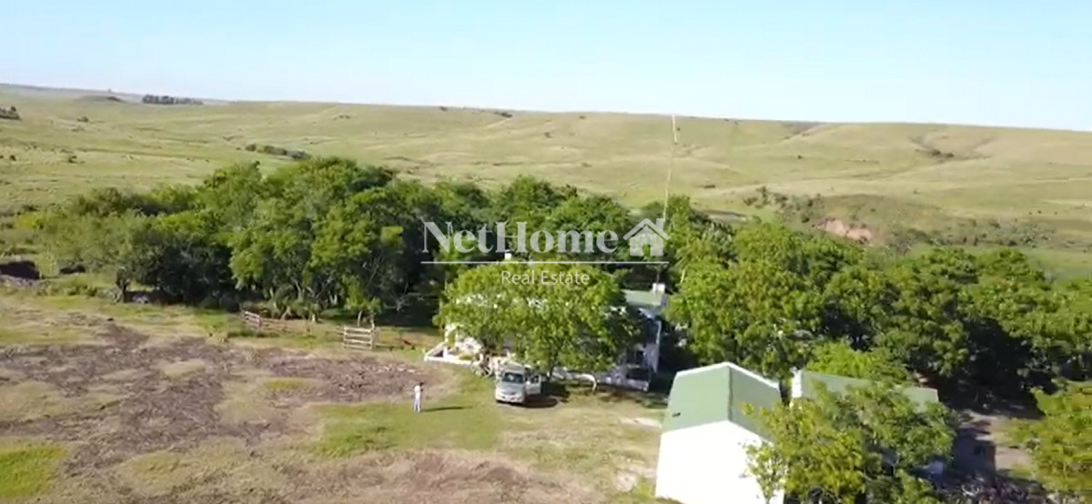 Campo Ref.303 -  Artigas Campo 1000 Ha Ganadero 