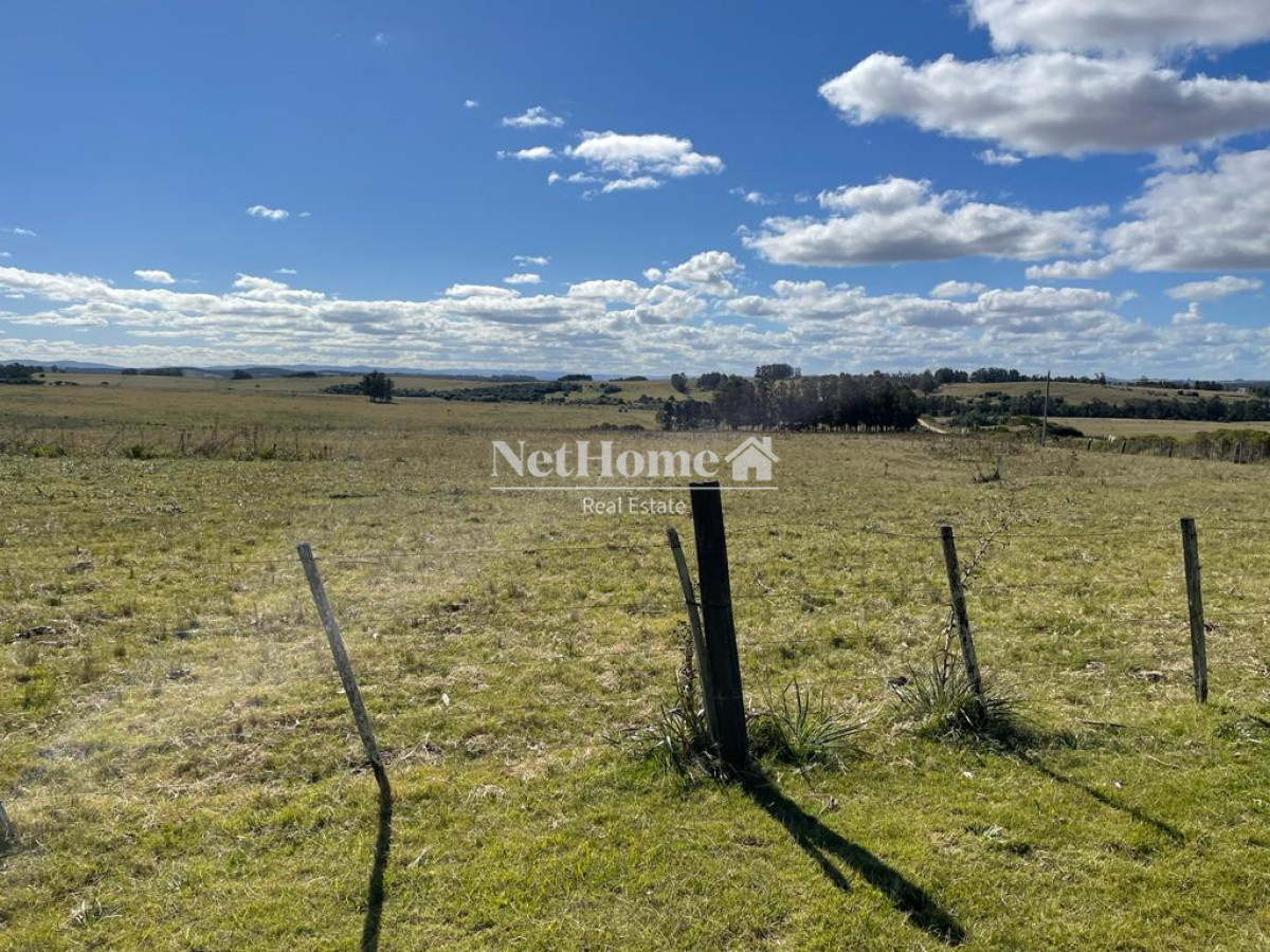 Campo Ref.310 - Fraccionamiento ya aprobado - 90Ha Jose Ignacio
