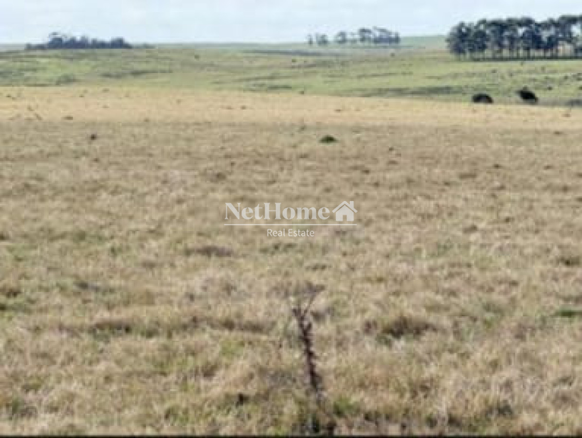 Campo Ref.1127 - Campo Agricola Ganadero Rocha