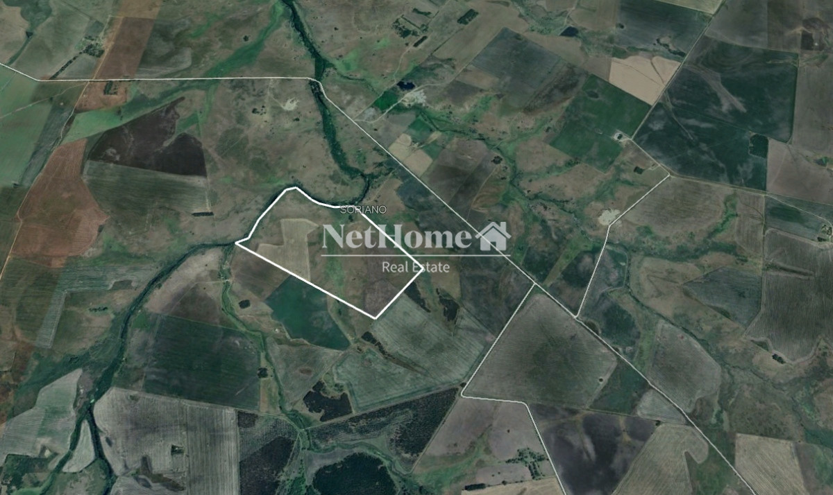 Campo Ref.400 - 70ha Soriano
