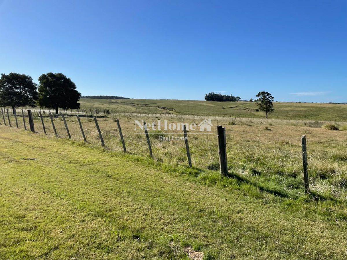 Campo Ref.310 - Fraccionamiento ya aprobado - 90Ha Jose Ignacio