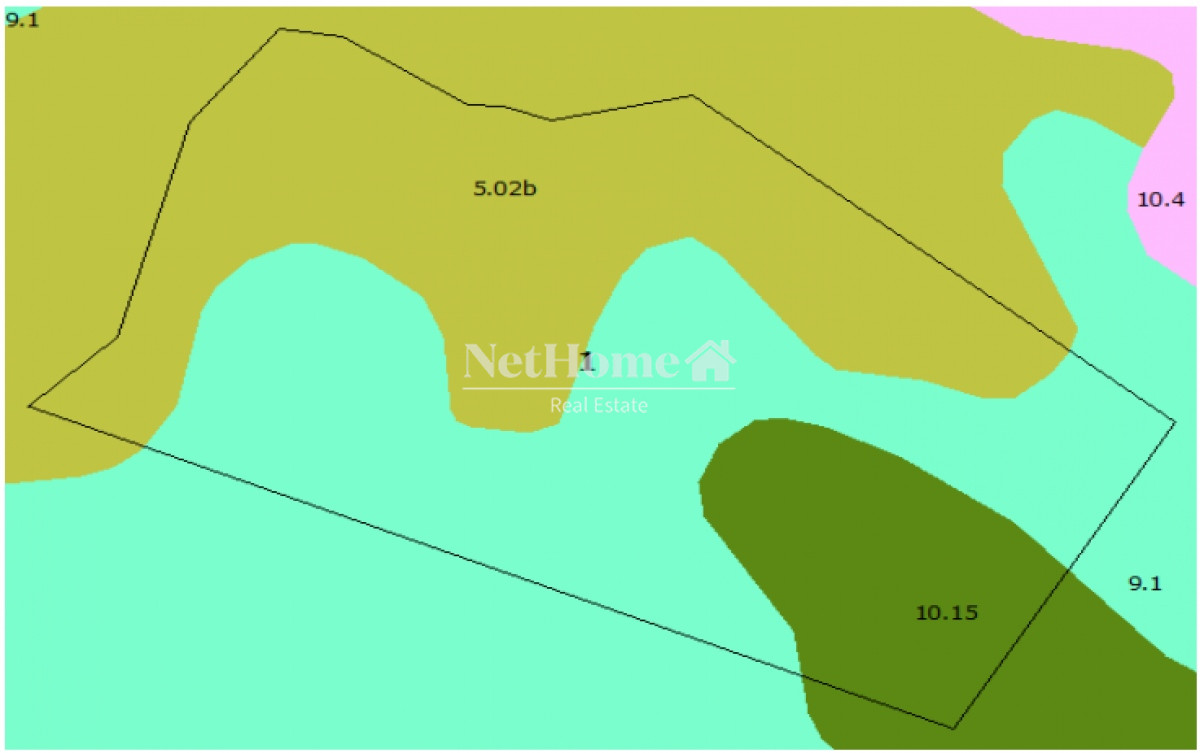 Campo Ref.400 - 70ha Soriano