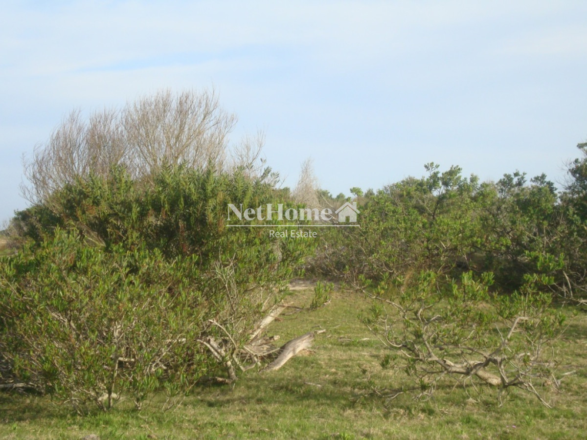 Campo Ref.315 - Campo en Rocha - La Coronilla 67Ha