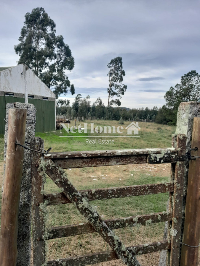 Campo Ref.293 - 502 Ha Establecimiento en Maldonado