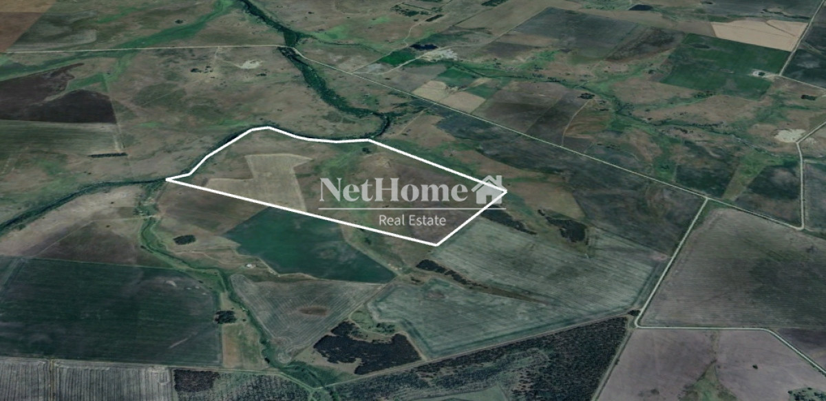 Campo Ref.400 - 70ha Soriano