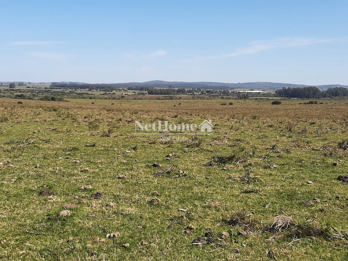 Campo Ref.306 - Campo Turistico 100Ha Garzon 