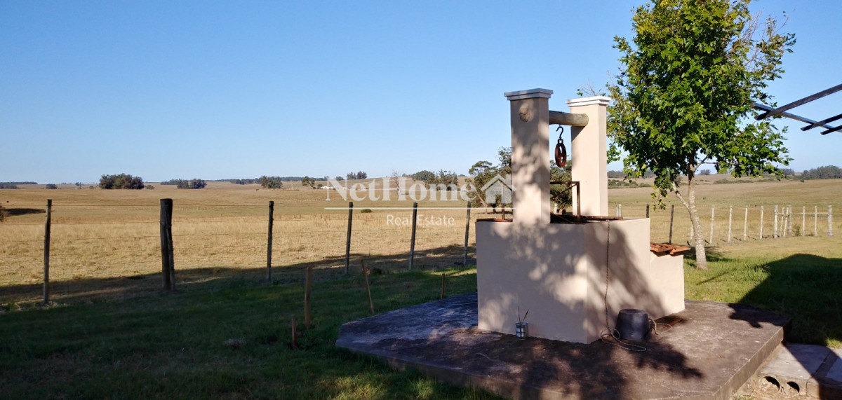 Campo Ref.313 - Campo Turístico 64Ha José Ignacio 