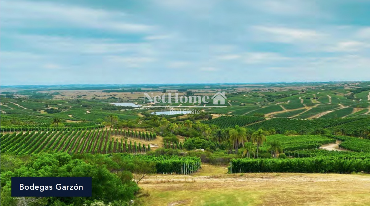 Campo Ref.298 - Exclusiva Chacra en Mirador Garzón de 5Ha N° II