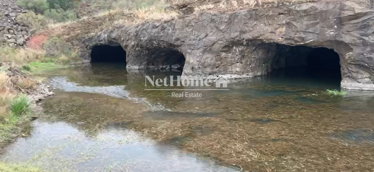 Campo Ref.303 -  Artigas Campo 1000 Ha Ganadero 